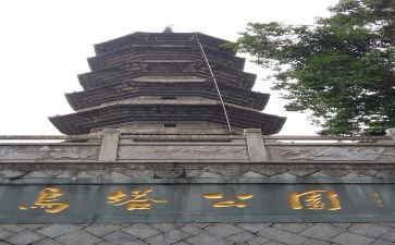 《乌塔》读后感作文5篇