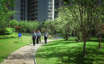 社区物委会工作总结5篇