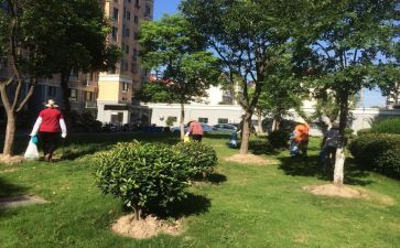 物业小区年终总结参考8篇