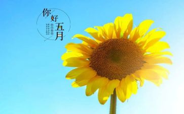 五月份工作总结通用6篇