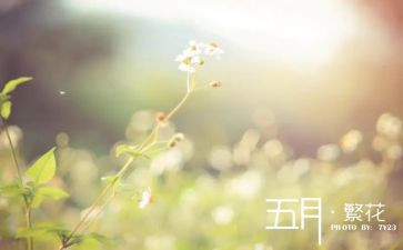托小班五月份工作计划5篇