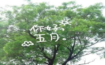 2024幼儿园小班五月工作计划6篇