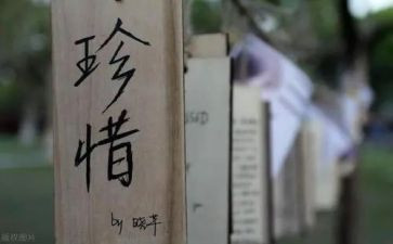 小学生珍惜的演讲稿范文6篇