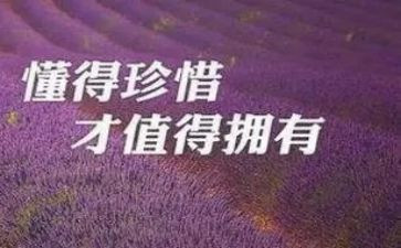 惜时的作文模板8篇