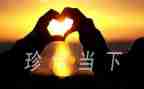 珍惜的演讲稿通用5篇
