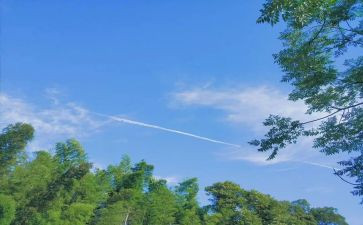 夏洛的故事读后感7篇