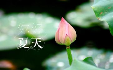 过夏天的作文推荐7篇
