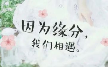写相遇的作文600字6篇