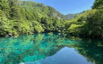 大先生读后感通用6篇