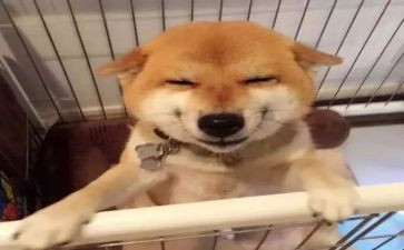 成功的笑作文400字优质6篇