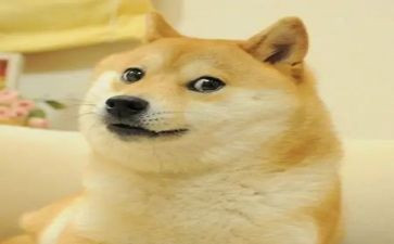 笑对生活作文1000字6篇