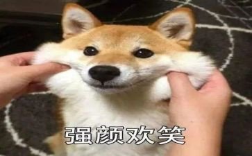 笑对生活作文300字8篇