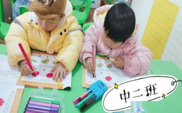 幼儿小班工作计划模板模板6篇