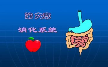消化科护士心得8篇