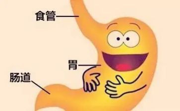 消化心内科心得体会5篇