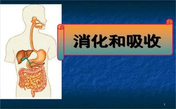 消化科2024年护理工作计划5篇