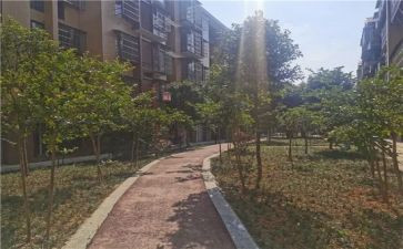 小区环境的调查报告6篇