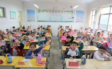 中小学英语调查报告8篇