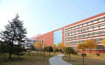 学校开展的校园活动总结5篇