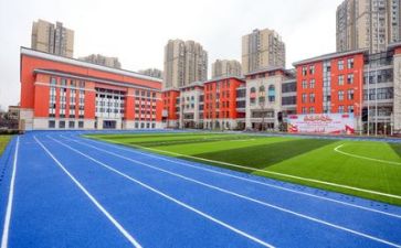 校园的作文450字6篇
