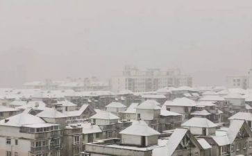 下雪后作文600字5篇