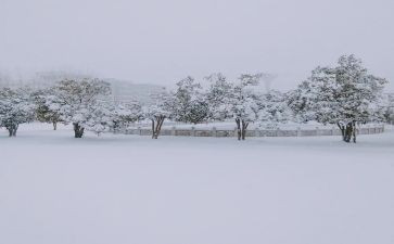下雪了作文推荐5篇