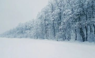 下雪了作文精选8篇