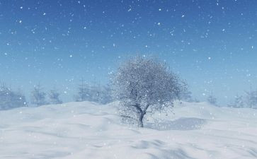 有关下雪的作文6篇