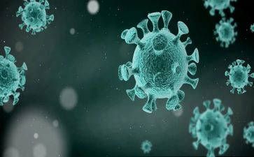 新冠疫情下的个人总结5篇