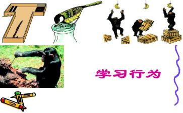 小学教师十项行为准则心得体会6篇