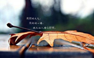 坏心情作文精选5篇