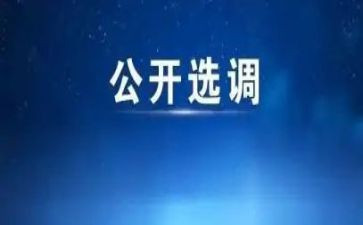 市选调生工作总结6篇