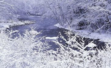 雪雷锋心得体会模板7篇