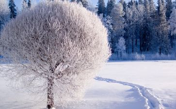 雪教学反思模板6篇