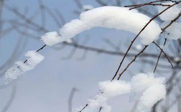 堆雪人作文500字5篇