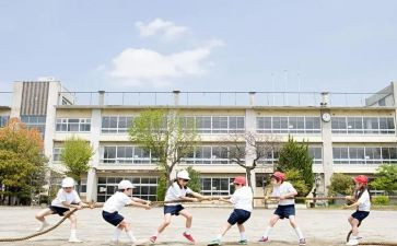 毕业大学生心得参考6篇