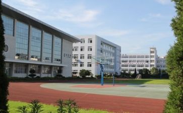 个人学校校长述职报告8篇