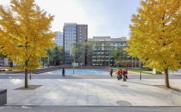 在学校的半年总结6篇