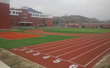 在学校心得体会200字8篇