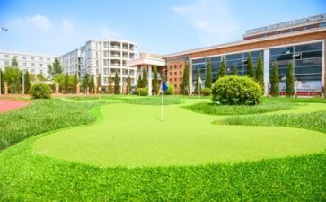 学校培训的心得体会5篇