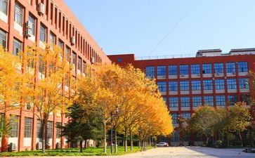 学校安全工作年度总结参考5篇