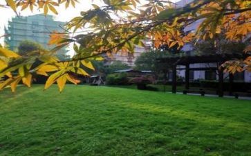 学校安全主题讲话稿7篇