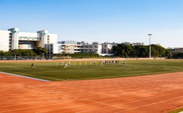 学校管理个人总结6篇