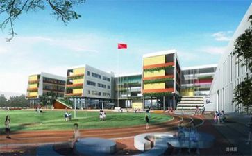 新教师学校培训心得8篇