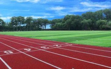 学校来了说心得体会参考8篇