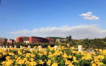 学校财务处工作总结7篇