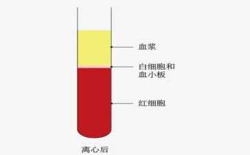 血液室自我鉴定优秀6篇