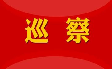 巡察干部述职报告8篇