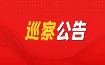 巡察干部个人述职述廉报告7篇