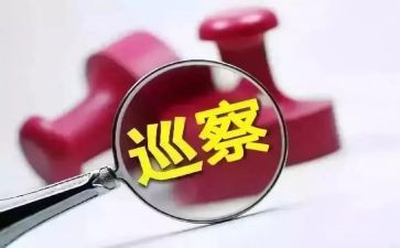 党组巡察工作汇报材料5篇